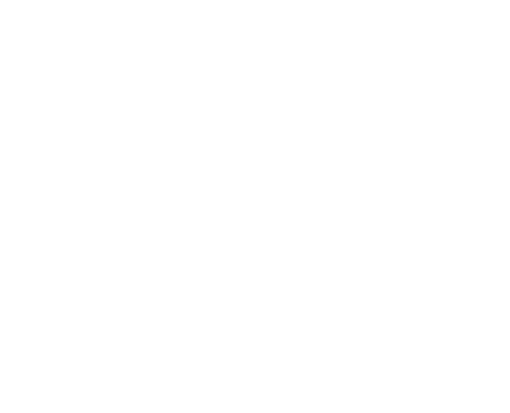 Transparent Media Partner Badge